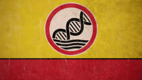 Wie erkennt man Dummheit lustige Gifs%20(5) Menschliche Marotten: Lustige Geschichten aus dem Leben Wie identifiziere ich dumme Menschen in meinem Umfeld? Dumm, Komische Begebenheiten des Lebens, Lustige Menschen, Lustiges über das Leben | Die Kirche des heiligen Al Bundy 19. November 2023 8