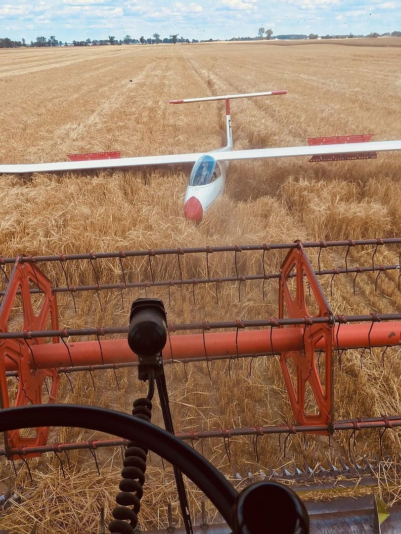 Das Bauernleben: Acker, Stallarbeit und Kuhfladen-Jonglieren Arbeit, Komische Begebenheiten des Lebens, Natur | Die Kirche des heiligen Al Bundy 4. Oktober 2023 14