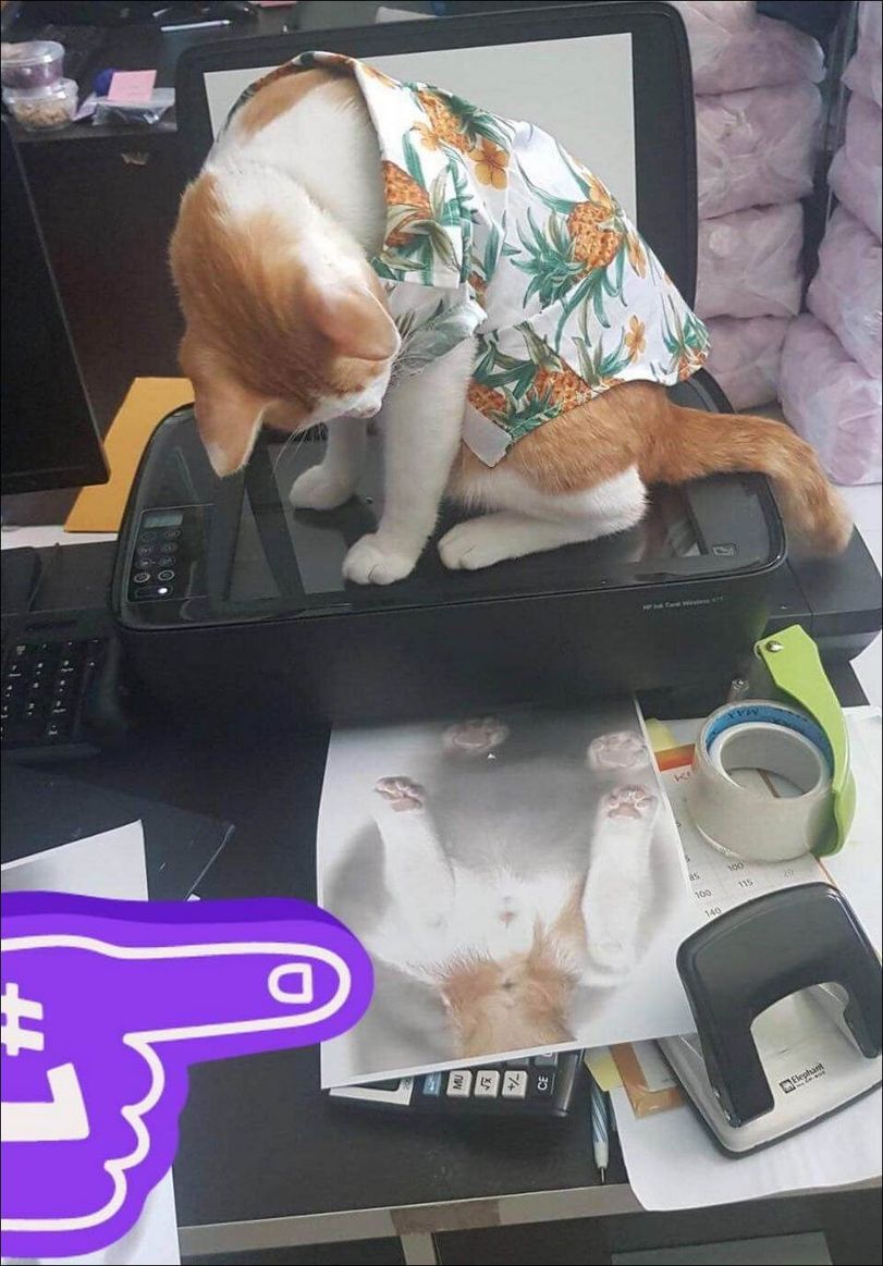 Witzige Bilder Arbeit - Schmunzeln bis der Chef kommt! Büro, Humorvolle Alltagsgeschichten, Lustige Bilder | Die Kirche des heiligen Al Bundy 30. Mai 2023 6