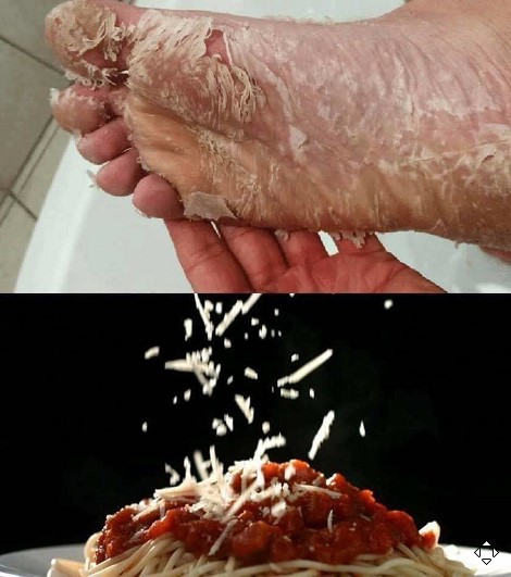 Billige Kaeseliebe wie man Bolognese mit Fussschorf verfeinert Ehechaos und Beziehungsspaß - Amüsante Liebeserlebnisse Wenn die Liebe schmilzt - Käse überbackene Partnerschaft - das ultimative Beziehungsrezept Beziehung, Ehe, Komische Begebenheiten des Lebens, Lustiges über das Leben, Ratschlag | Die Kirche des heiligen Al Bundy 20. April 2023 2