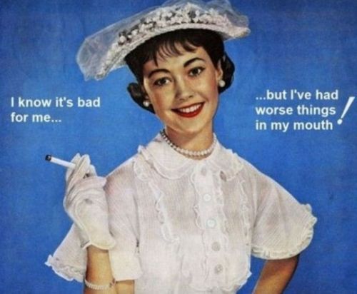 Damen Styling Vintage Humor witzig%20(1) Vintage Humor Blog Vintage Humor: Wie Frau von Welt sich damals perfekt für Herd und Mann stylte | Die Kirche des heiligen Al Bundy 1. November 2023 3