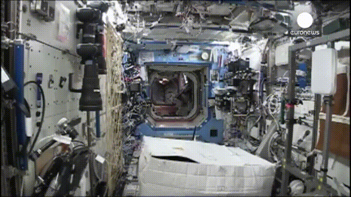 Lustige Parodie vom Wunsch Astronaut zu werden%20(6) Wissenswertes mit Witz und Humor Sterne schauen, ohne zu kotzen: Warum keiner mehr Astronaut werden möchte Beruf, Komische Begebenheiten des Lebens, Lustiges, Wissen zum lachen | Die Kirche des heiligen Al Bundy 2. März 2024 2